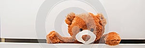 Brown plush toy Teddy bear crawling out of chest of white drawers