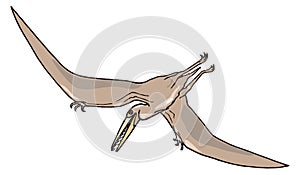 brown pteranodon dinosaur ancient vector illustration transparent background