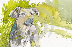 Brown puppy dog standing behind bushes watercolor painting