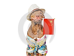 Brown puppy, sun hat and China Flag