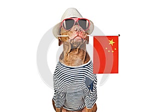 Brown puppy, sun hat and China Flag