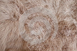 Brown rabbit fur Texture, animal skin background