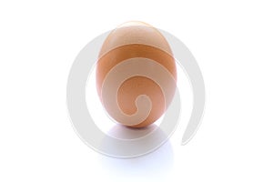 Brown raw egg shell isolated