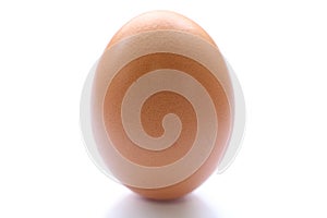 Brown raw egg shell isolated 2
