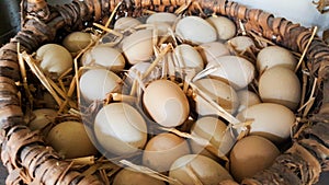 Brown raw fresh eggs lie in a wooden basket