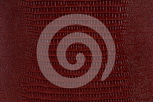 Brown reptile leather texture. Can be used as background in art or design projects.