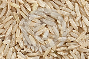 Brown Rice Background