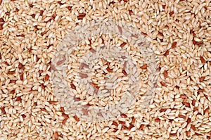 Brown Rice Background