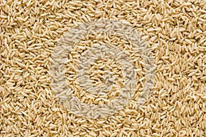 Brown rice background