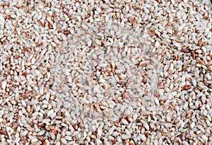 Brown rice background