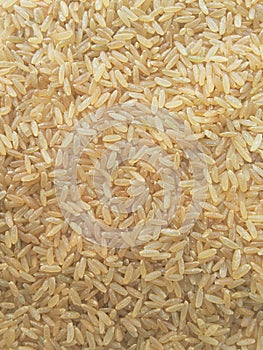 Brown rice background