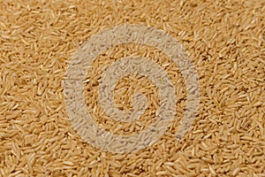 Brown rice background, raw rice for proper nutrition