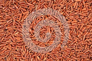 Brown rice, close-up