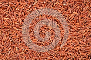 Brown rice, close-up