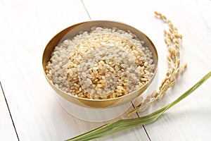 Brown rice with ear of rice
