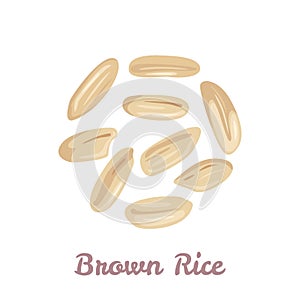 Brown rice grain isolated on white background. Vector illustration of unpolished rice seeds