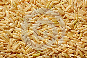 Brown rice grains