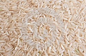 Brown rice grains