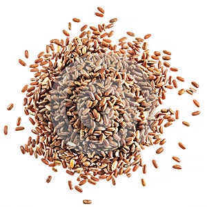 Brown rice heap - whole grain rice with outer hull or husk. Top view