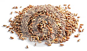 Brown rice heap - whole grain rice with outer husk on white background. Close-up