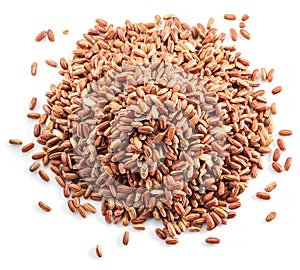 Brown rice heap - whole grain rice with outer husk on white background. Top view