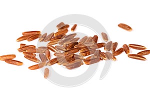 Brown rice isolated on white background