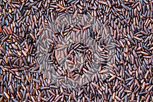 Brown rice or Rice berry close-up texture