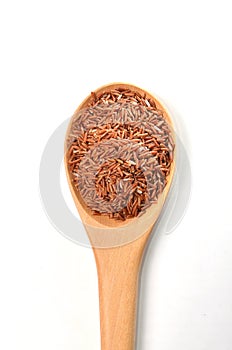 Brown rice in spoon