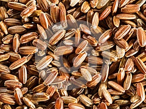 Brown rice - whole grain rice with outer hull or husk. Close-up