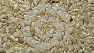 Brown Rice. Whole grains of Oryza sativa in rotation
