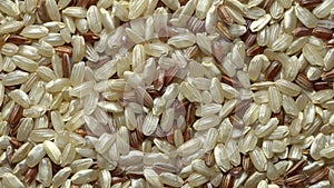Brown Rice. Whole grains of Oryza sativa in rotation