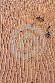 A brown river curved lines sand background