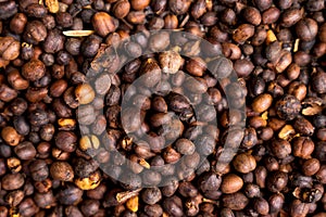 Brown roasted cocoa beans. Background, the process of making cocoa
