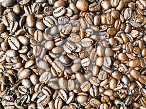 Brown roasted coffee beans, background texture