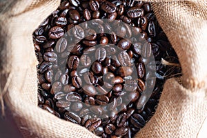 Brown roasted coffee beans with Burlap Sack