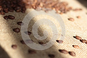 Brown roasted coffee beans are scattered on the burlap macro