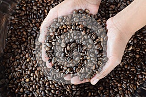 Brown roasted coffee beans scooped by female hands.