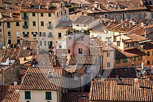 Brown roofs of Lucca, Italy.