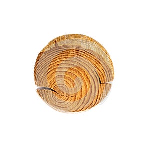 Brown round wood cut texture with annual growth tree rings from pine trunk isolated on white background.