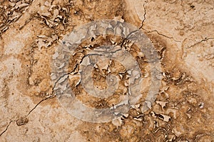 Brown rusty grunge background. Abstract texture of dry clay ground with cracks on earth soil