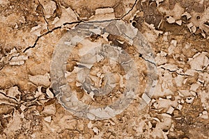 Brown rusty grunge background. Abstract texture of dry clay ground with cracks on earth soil