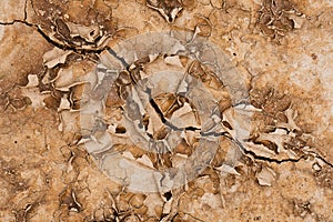 Brown rusty grunge background. Abstract texture of dry clay ground with cracks on earth soil