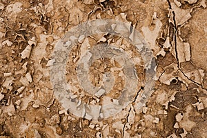 Brown rusty grunge background. Abstract texture of dry clay ground with cracks on earth soil