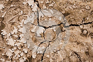 Brown rusty grunge background. Abstract texture of dry clay ground with large cracks on earth soil