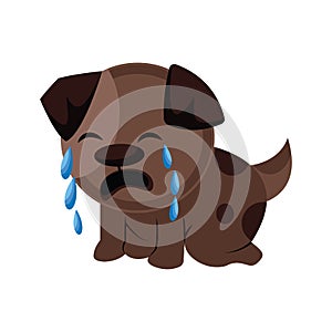 Brown sad dog crying vector illustration on a