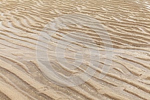 Brown sand curls after the sea water recedes pattern and background texture photo