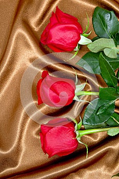 Brown satin fabric and roses