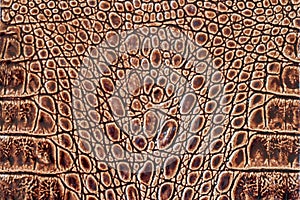 Brown scales macro exotic background, embossed under the skin of a reptile, crocodile. Texture genuine leather close-up