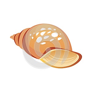 Brown sea spiral seashell, an empty shell of a sea mollusk. Colorful cartoon illustration