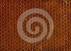 Brown Seamless Texture